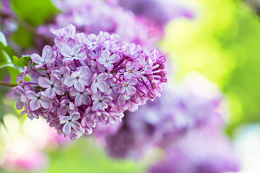 Similar image 13008424