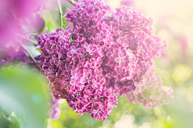 Similar image 13008441