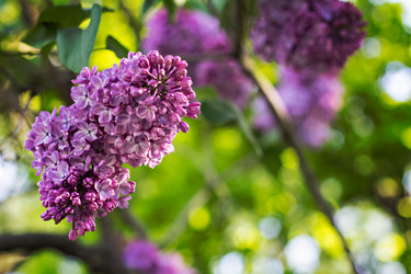 Similar image 13008442