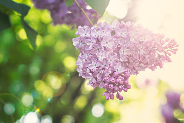 Similar image 13008979