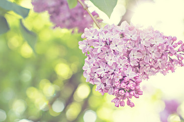 Similar image 13008981