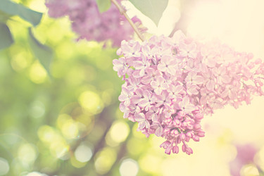 Similar image 13008461