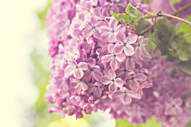 Similar image 13009101