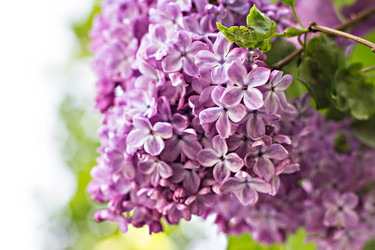 Similar image 13009162