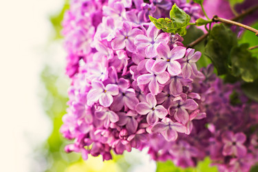 Similar image 13009163