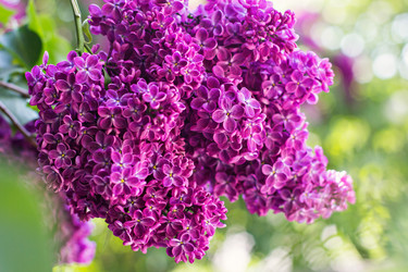 Similar image 13009219