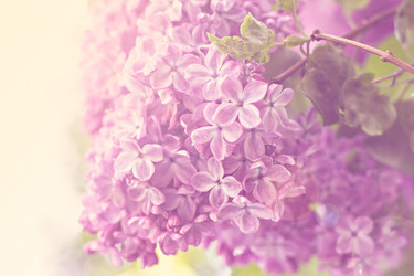 Similar image 13009221