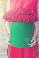 Similar image 13009222