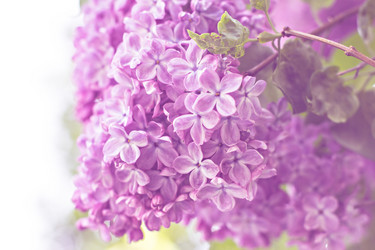 Similar image 13009669