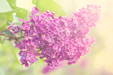 Similar image 13009319