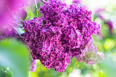 Similar image 13009320