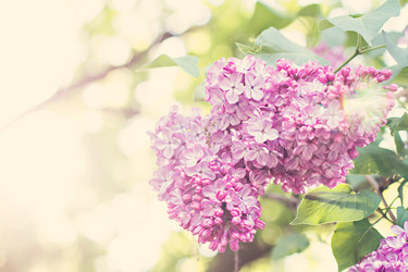 Similar image 13009359