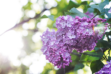 Similar image 13009725