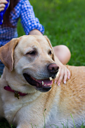 Similar image 13009362