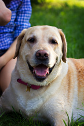 Similar image 13009364