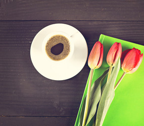 Similar image 13008927