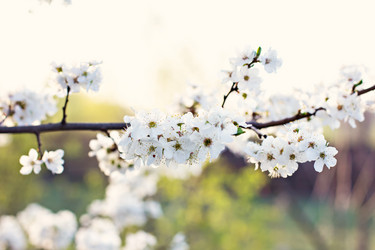 Similar image 13009687