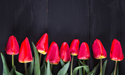 Similar image 13009689