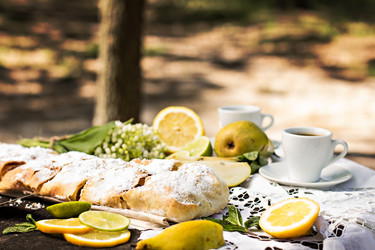 Similar image 13008473