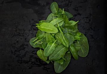 Similar image 13009254