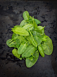 Similar image 13009334