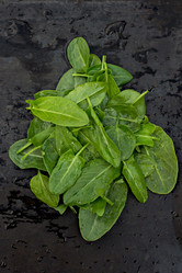 Similar image 13009693