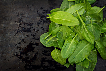 Similar image 13009694