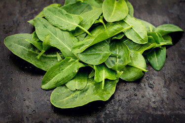 Similar image 13009374