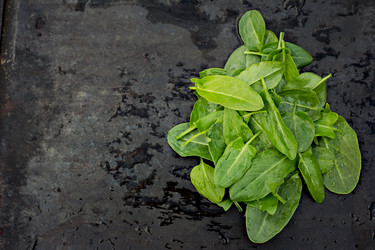 Similar image 13009733