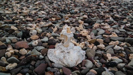 Similar image 13029078