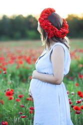 Similar image 13005709