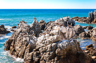 Similar image 13004995