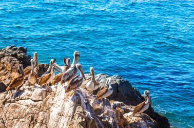 Similar image 13004996