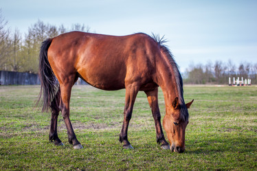 Similar image 13062010