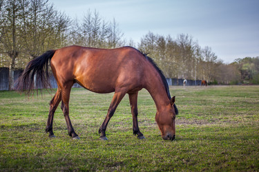 Similar image 13062011