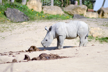 Similar image 13024590