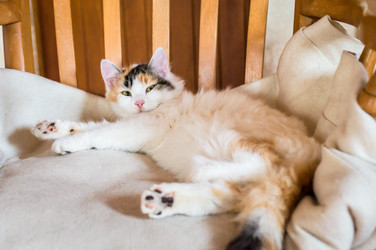 Similar image 13008114