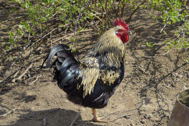 Similar image 13005412