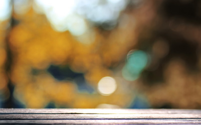 Similar image 13055049