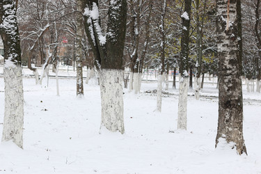 Similar image 13055203