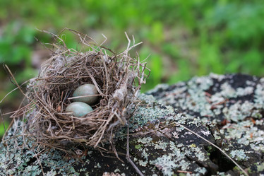 Similar image 13055263