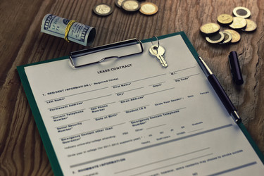 Similar image 13056256