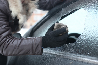 Similar image 13055184