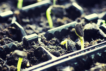 Similar image 13055266