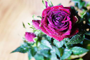 Similar image 13055325