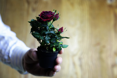 Similar image 13055366