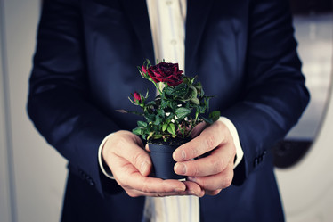 Similar image 13055406