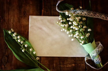 Similar image 13057118