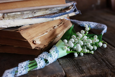 Similar image 13065434