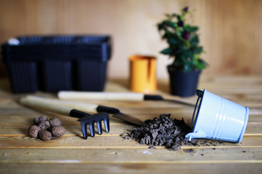 Similar image 13065026